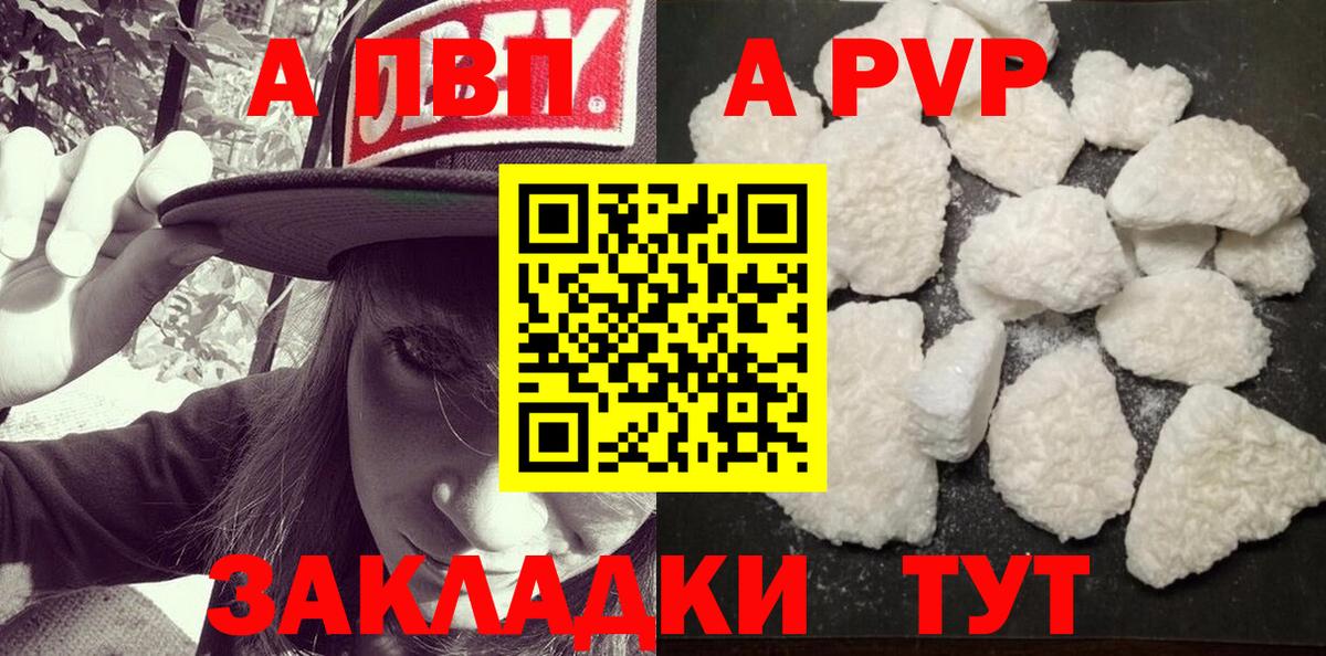 A PVP СК КРИС Котлас