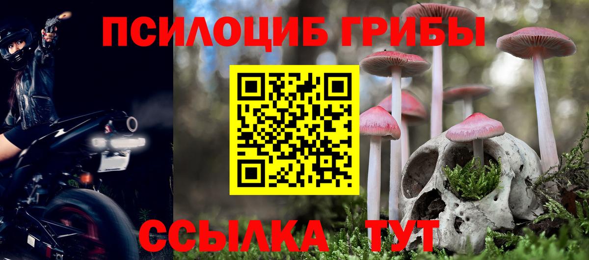 Псилоцибиновые грибы Psilocybe  наркота  Котлас  Вход с VPN  Галлюциногенные грибы GOLDEN TEACHER 